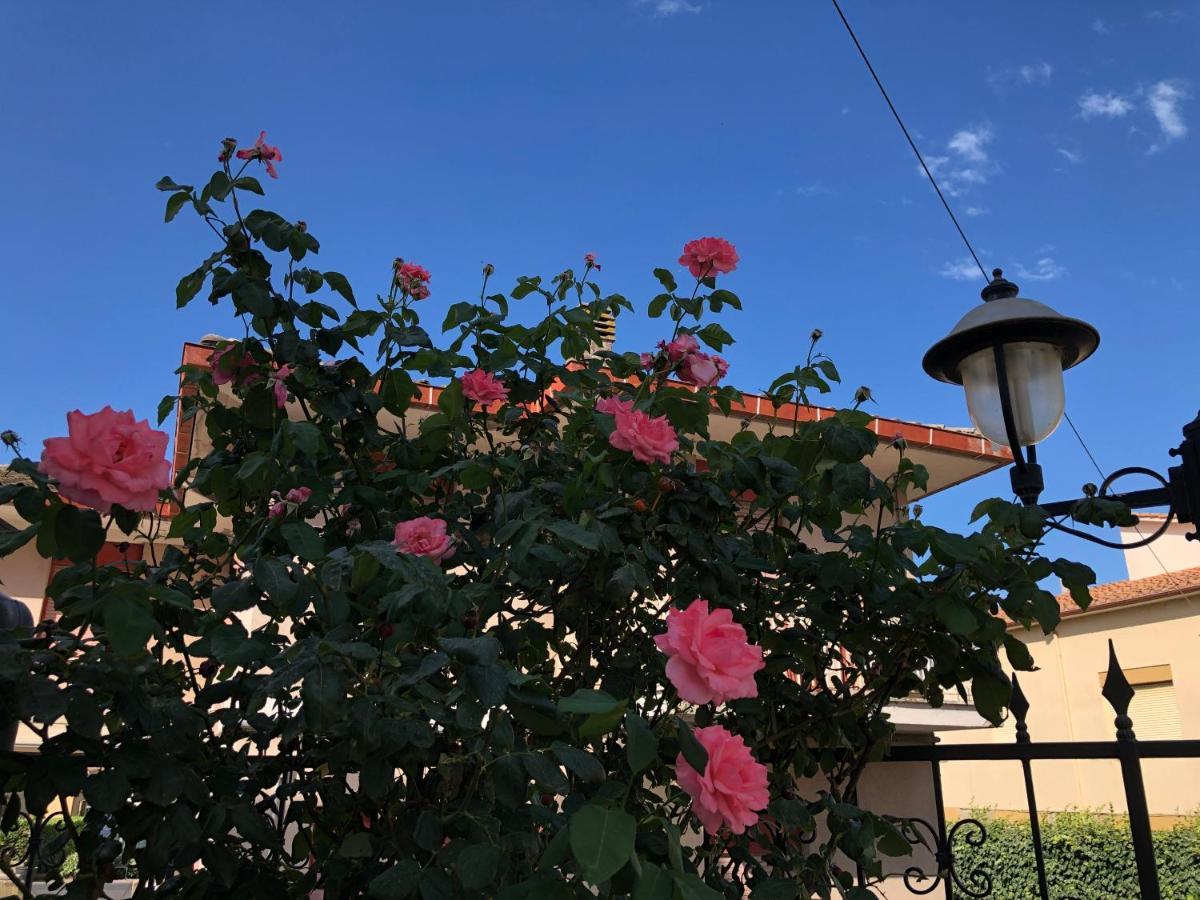 Hotel Zodiaco Bolsena Exterior photo